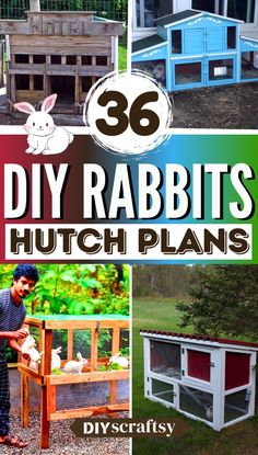 the ultimate diy rabbit hut plans to build for your backyard or garden, including chicken coops and hen houses