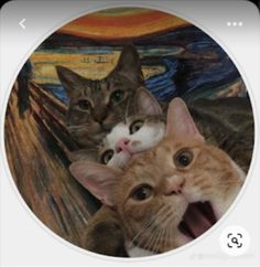 three cats are looking at the camera in front of an image of the scream painting