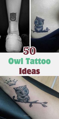 the top 50 owl tattoo ideas for women and men on their stomachs, including an owl