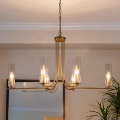 a chandelier hanging from the ceiling in a room with a mirror and potted plant