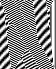 an abstract black and white pattern with diagonal lines in the center, as if it were optical art