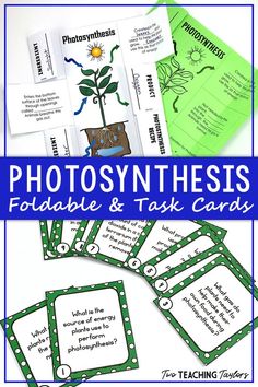 photosynthesis foldable and task cards with text