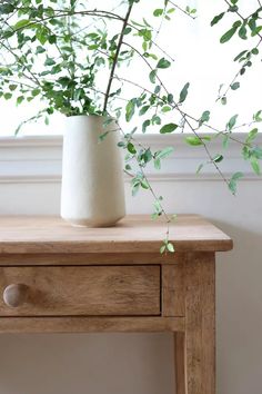 a potted plant sitting on top of a wooden table next to a white vase