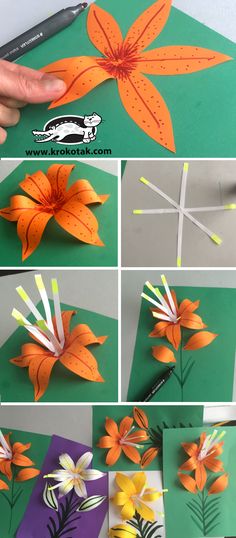 step by step instructions on how to make paper flowers