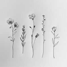 Wildflower Tattoo Blueprint Pack Simple Wildflower Tattoo Designs, Western Knee Tattoos Women, Fineline Wildflower Tattoo, Poked Tattoo, Floral Behind Ear Tattoo, Wildflowers Tattoos, Wildflower Tattoo Simple, Wildflower Tattoo Placement, Row Of Flowers Tattoo