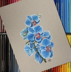 a drawing of some blue flowers on a sheet of paper with colored pencils in the background