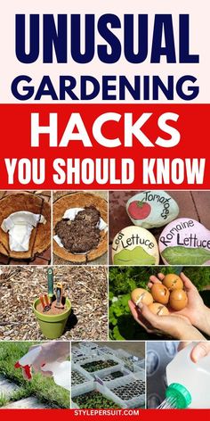 unusual gardening hacks you should know to know how to use them in the garden