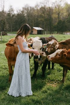 a woman in a white dress petting some cows