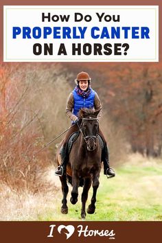 a woman riding on the back of a brown horse with text overlay reading how do you properly center on a horse?