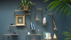 there are many shelves on the wall with plants and pictures above them, along with two blue chairs