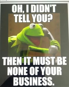 kermie the frog with text that reads oh, i didn't tell you? then it must be none of your business