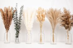 four vases with dried plants in them