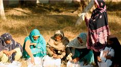 several women are sitting in the grass with bags