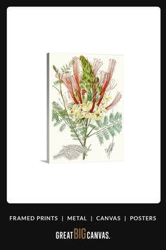 a card with flowers on it and the words, framed prints metal canvass posters great big canvass