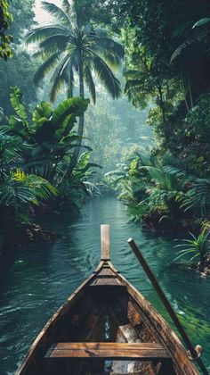 a boat traveling down a river surrounded by lush green trees and palm tree's