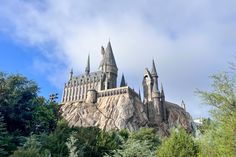 the hogwarts castle is surrounded by trees and bushes