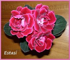 three pink flowers sitting on top of a wooden table