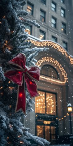 a christmas tree with a red bow on it in front of a building at night