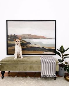 a white dog sitting on top of a green bench in front of a large painting