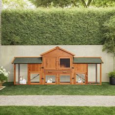 an outdoor chicken coop with two chickens in it and one on the ground next to grass