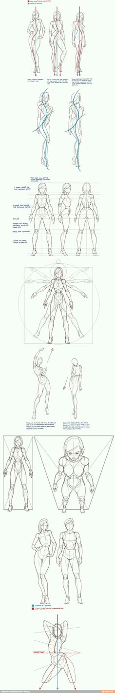 an image of how to draw the human figure from avatar, with different angles and body parts