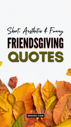 leaves with the words short, aesthetic and funny sayings for friends who love to laugh