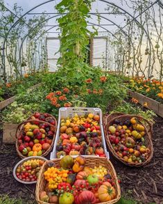 several baskets filled with lots of different types of fruits and vegetables in a garden area