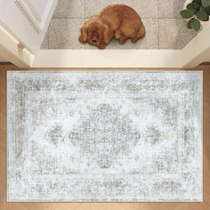 a dog laying on the floor next to a rug