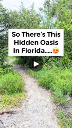 a sign that says so there's this hidden oasis in florida on the side of a dirt road