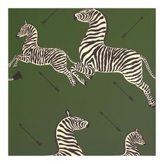 two zebras are running in the same direction on a green background with an arrow