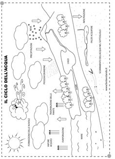 an image of a map with arrows pointing to different places in the land and trees