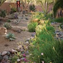 an outdoor garden with rocks and plants in the foreground, including cacti and succulents