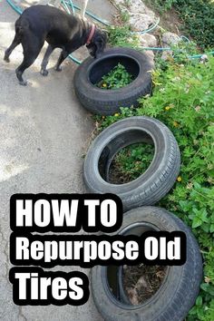 a black dog standing next to three tires on the ground with text overlay how to repurpose old tires