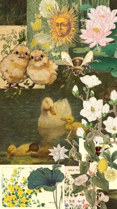 a collage with flowers and birds in it