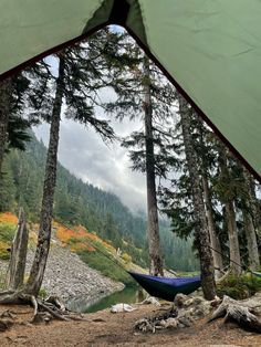 a hammock hanging from the side of a tree in front of some trees