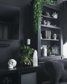 a living room with black furniture and plants on the shelves, along with a flat screen tv