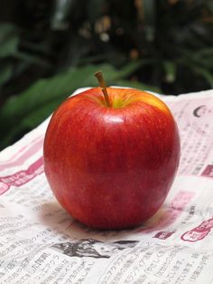 an apple sitting on top of a piece of paper