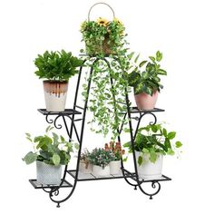 four tiered metal plant stand with potted plants on top and bottom shelves holding various types of plants