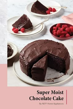 there is a chocolate cake with raspberries on the side