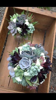 two succulents and other plants are arranged in a wooden box on the ground