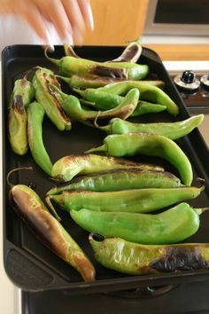 How to roast Hatch chiles from Shockingly Delicious. I broiled mine for nine minutes on the first side and five on the second. Perfect. Hatch Chilis, Hatch Green Chili Recipe, Hatch Chilies, Hatch Chili Recipes, Hatch Chile Recipes, Hatch Peppers, Mexico Recipes, Hatch Green Chili, Pan Roast