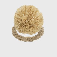 a rope wrapped around a round object on a white background