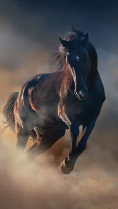 a horse is running through the dust