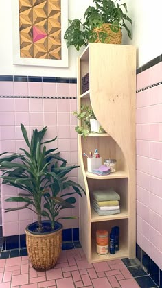 a plant in a pot next to a wooden shelf