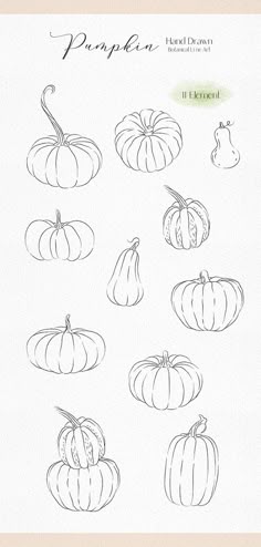 an image of pumpkins drawn by hand with the title'how to draw pumpkins '