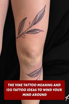 the vine tattoo meaning and 120 tattoo ideas to wind your mind around