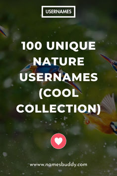 Nature Usernames