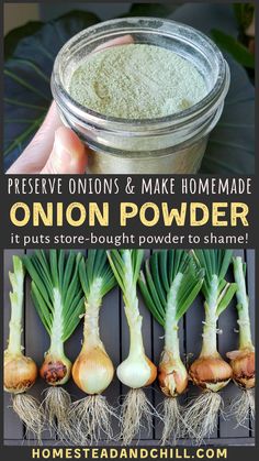 onion powder in a jar with the words preserve onions and make homemade onion powder it puts store - bought power to shame