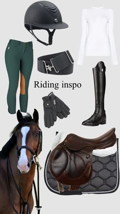 horse riding gear including boots, gloves and saddles are shown in this graphic style