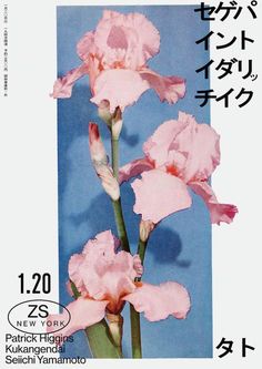 an advertisement for pink flowers with japanese writing